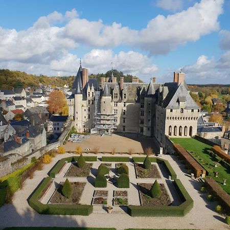Domaine De Bourgville Monts-sur-Guesnes Kültér fotó