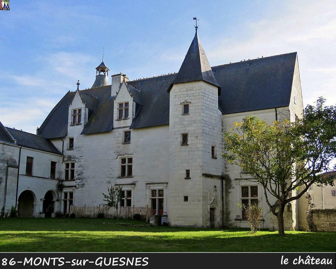 Domaine De Bourgville Monts-sur-Guesnes Kültér fotó